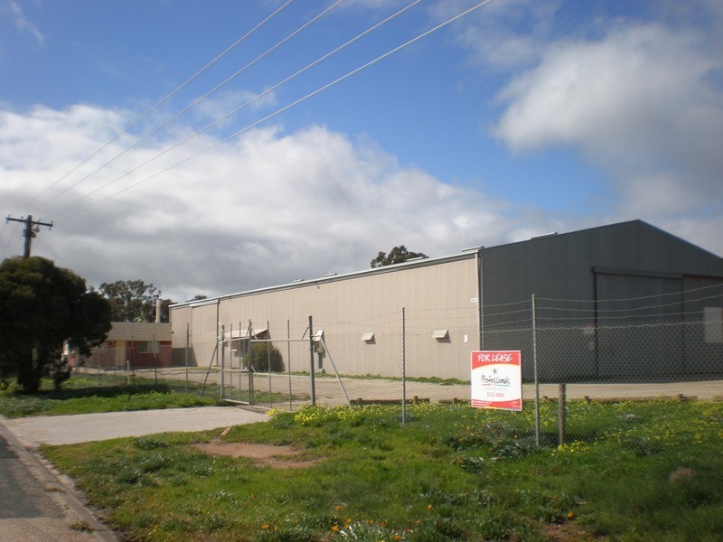 45 A Sea Lake Road, Swan Hill VIC 3585