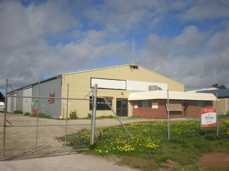 45 Sea Lake Road, Swan Hill VIC 3585