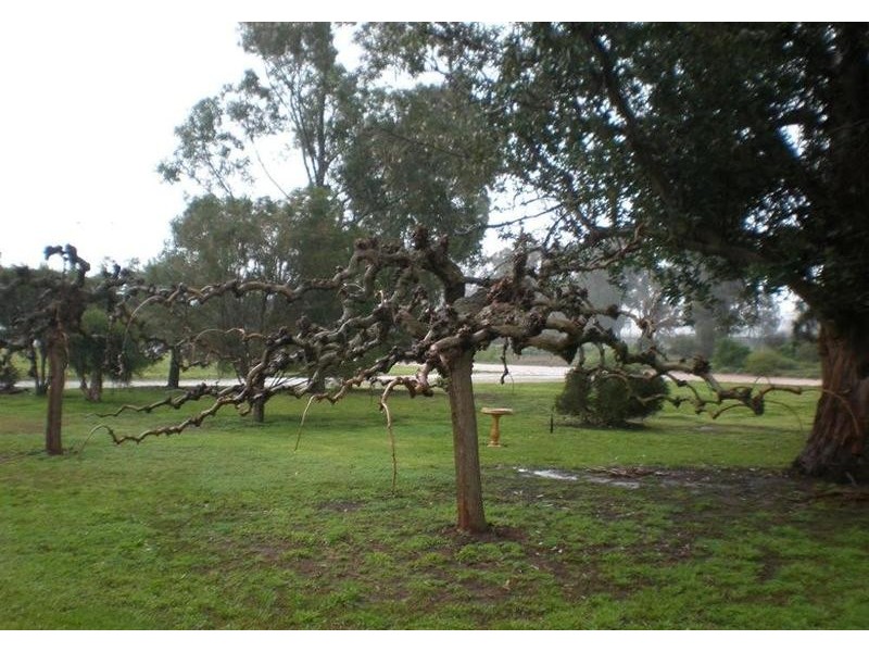 17 Wood Wood Back Road, Wood Wood VIC 3596