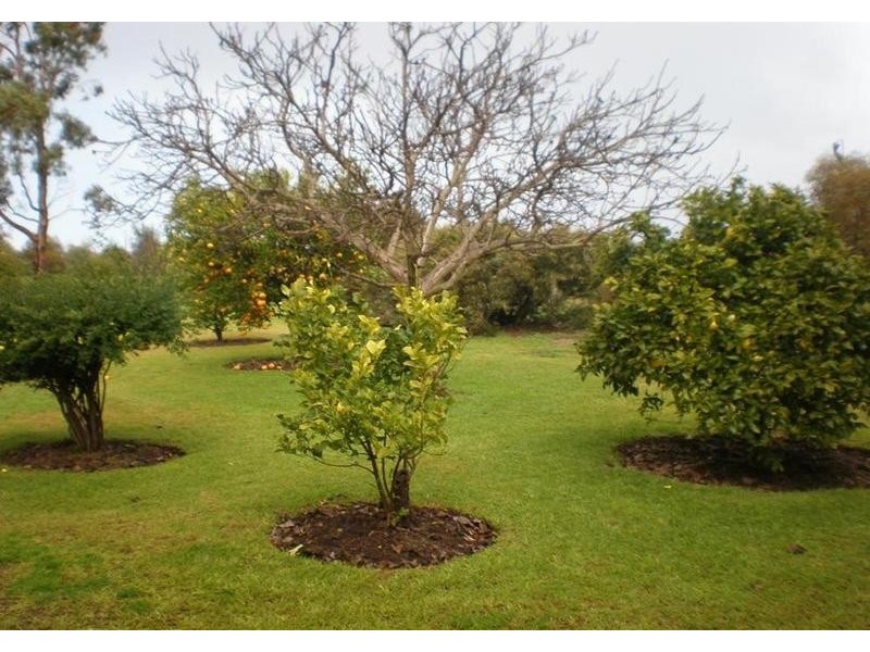 17 Wood Wood Back Road, Wood Wood VIC 3596