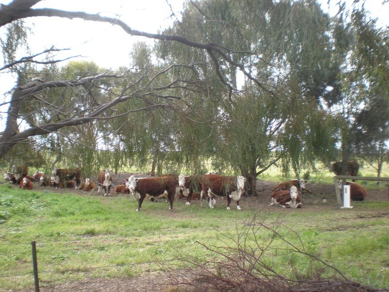 1 Davidsons Lane, Murray Downs NSW 3585