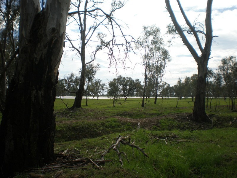 1 Davidsons Lane, Murray Downs NSW 3585