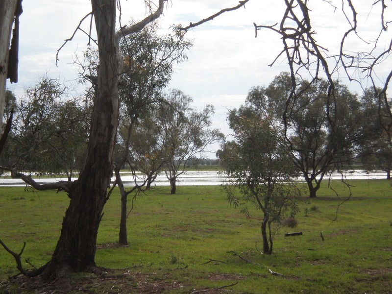 1 Davidsons Lane, Murray Downs NSW 3585