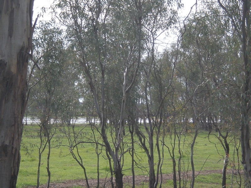 1 Davidsons Lane, Murray Downs NSW 3585