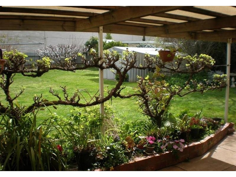 16 Mitchell Street, Swan Hill VIC 3585