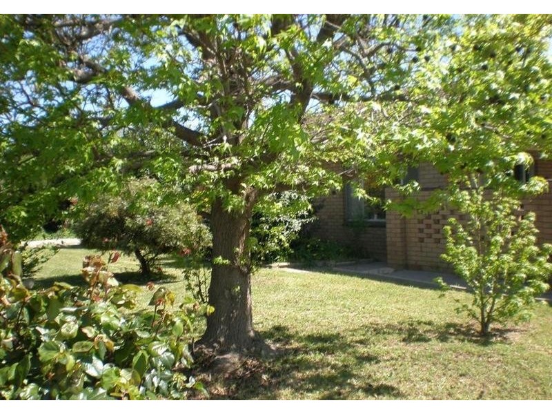 10 Hasting Street, Swan Hill VIC 3585