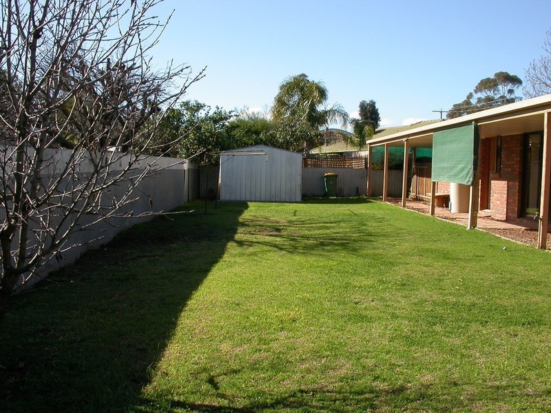 56 Chapman Street, Swan Hill VIC 3585