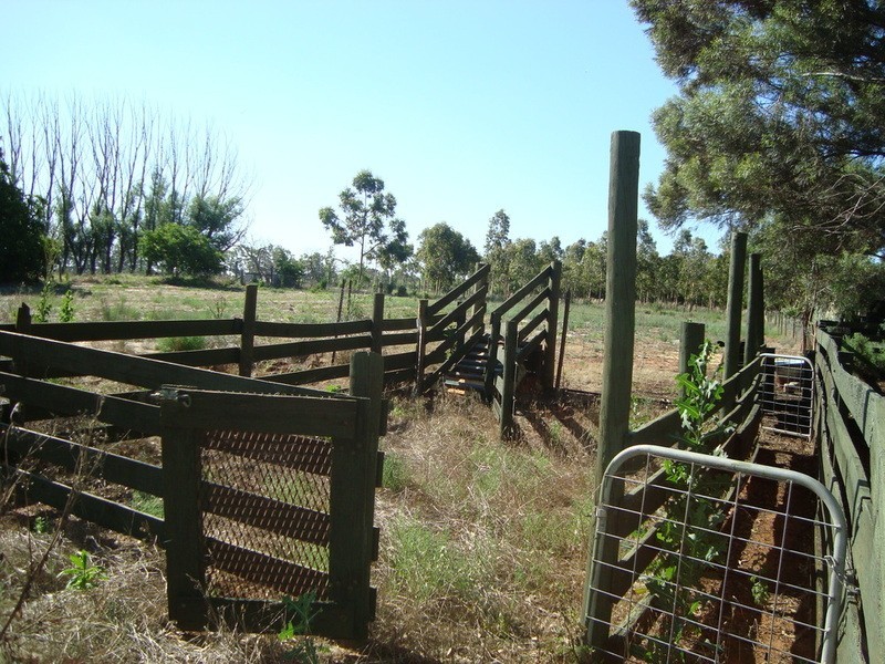 4823 Murray Valley Highway, Castle Donnington VIC 3585