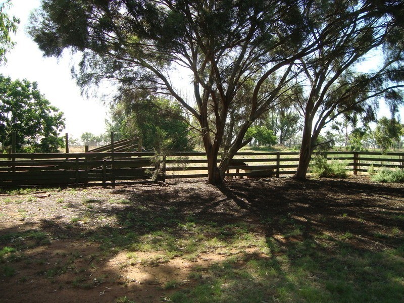 4823 Murray Valley Highway, Castle Donnington VIC 3585