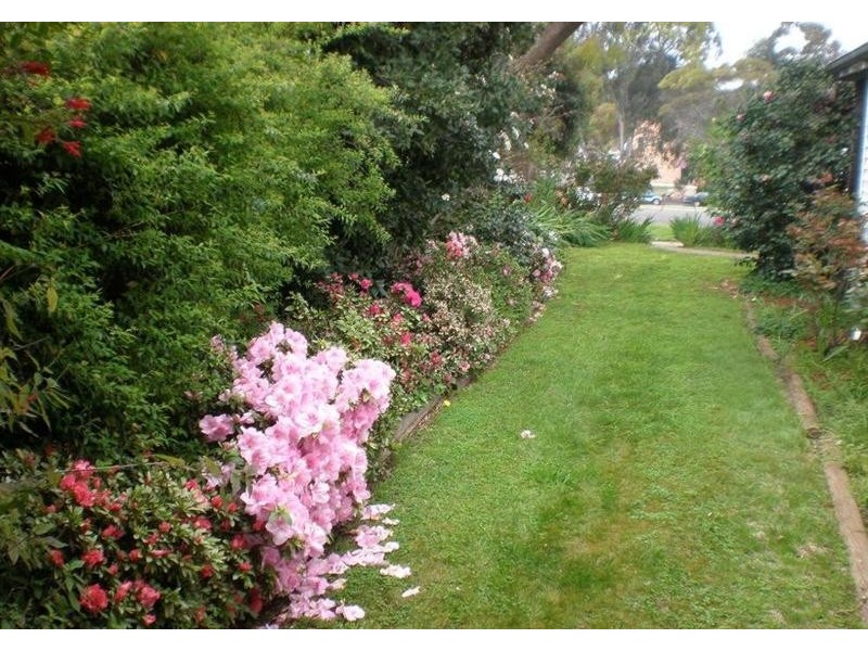 16 Mitchell Street, Swan Hill VIC 3585