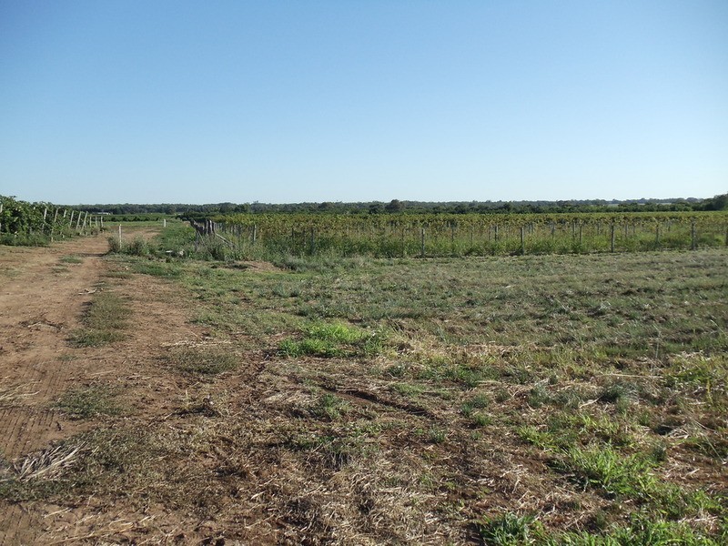 Lot/73 Willoughby Road, Vinifera VIC 3591