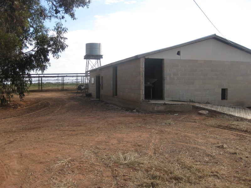 0 Speewa Road, Koraleigh NSW 2735