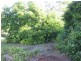0 Speewa Road, Koraleigh NSW 2735
