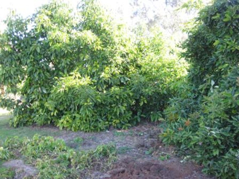 0 Speewa Road, Koraleigh NSW 2735