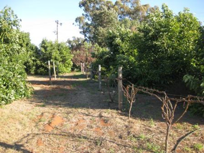 0 Speewa Road, Koraleigh NSW 2735