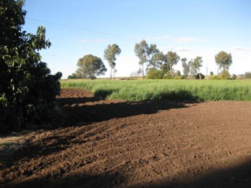 0 Speewa Road, Koraleigh NSW 2735