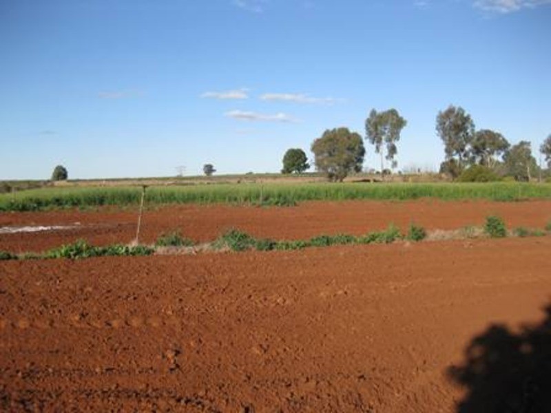 0 Speewa Road, Koraleigh NSW 2735