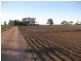 0 Speewa Road, Koraleigh NSW 2735