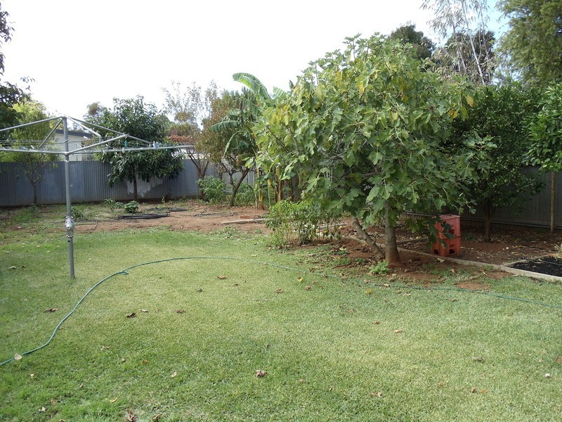 19 Chisholm Street, Swan Hill VIC 3585