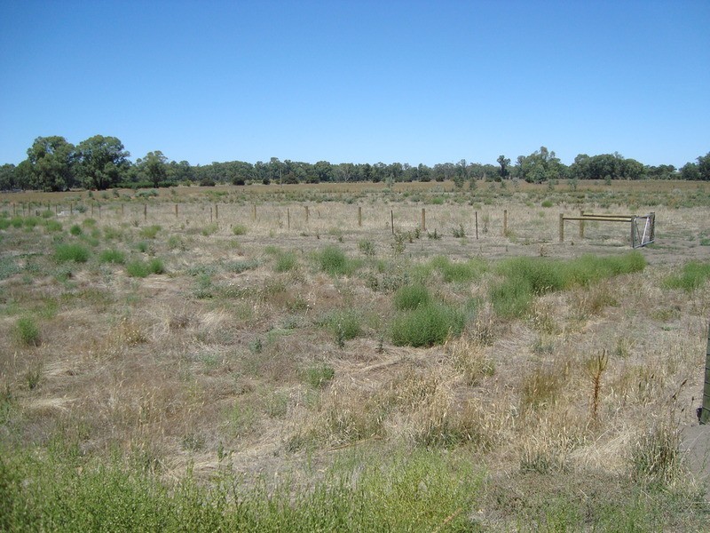 Lot 11 Charlie Gray Close, Swan Hill VIC 3585