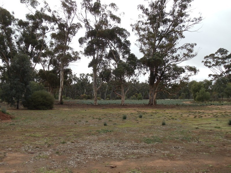 2295 Murray Valley Highway, Vinifera VIC 3591