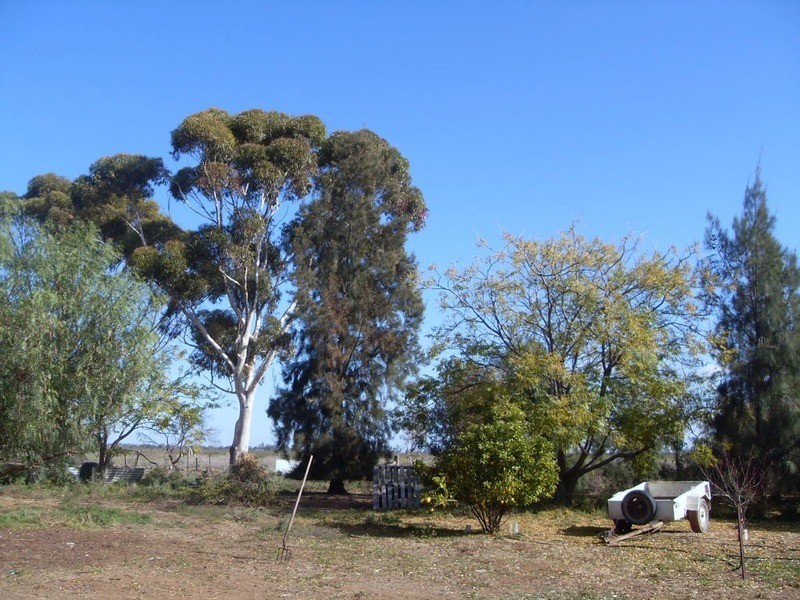 94 Gorton Drive, Mystic Park VIC 3579