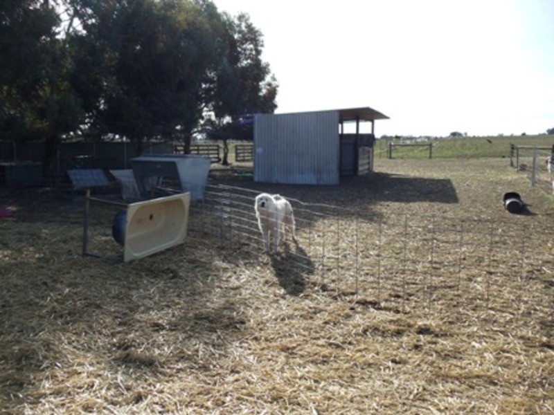 29 Harris Road, Nyah West VIC 3595