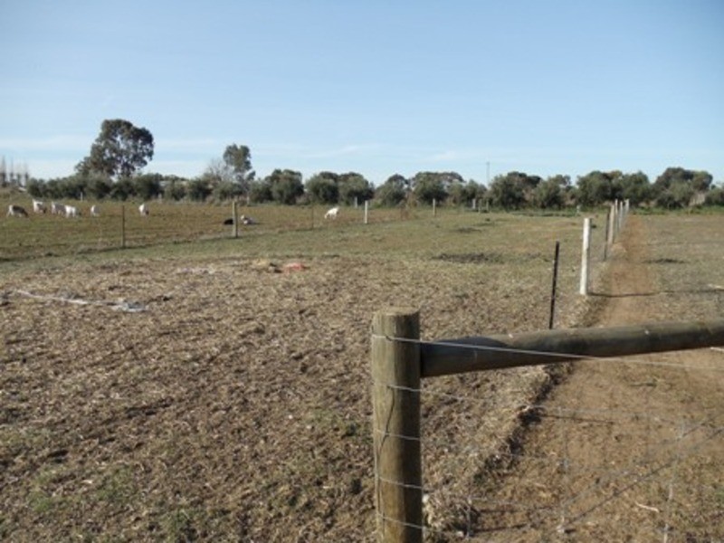 29 Harris Road, Nyah West VIC 3595