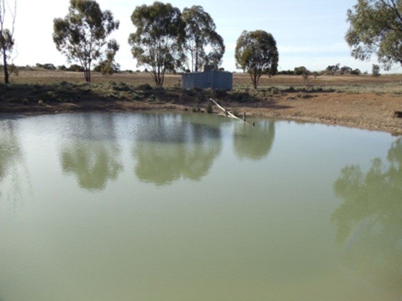 29 Harris Road, Nyah West VIC 3595