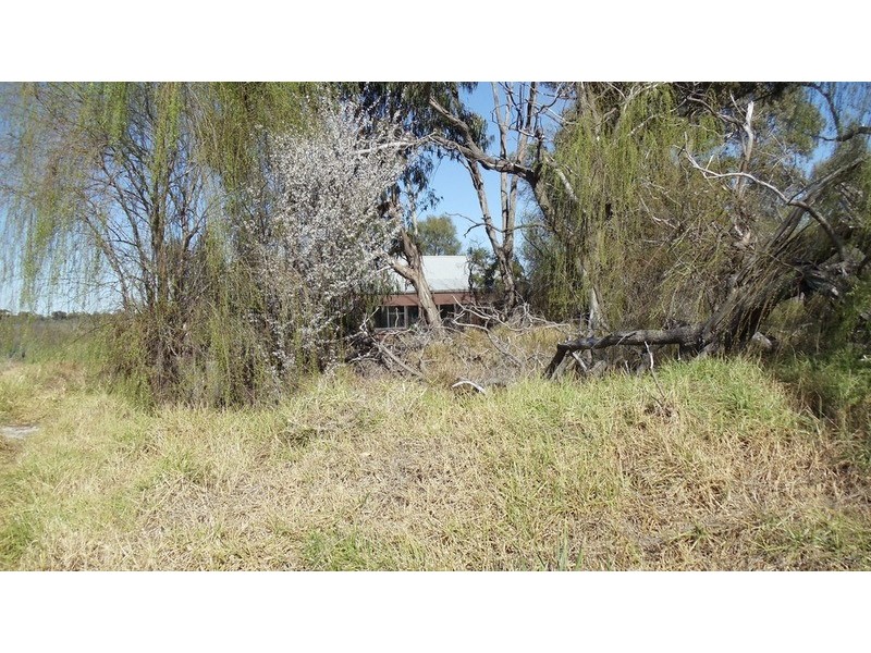 Lot 3 Tolls Lane, Koraleigh NSW 2735