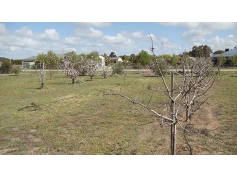 61 Butterworth Street, Swan Hill VIC 3585