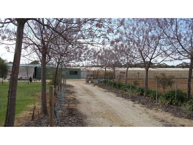 4462 Murray Valley Highway, Lake Boga VIC 3584