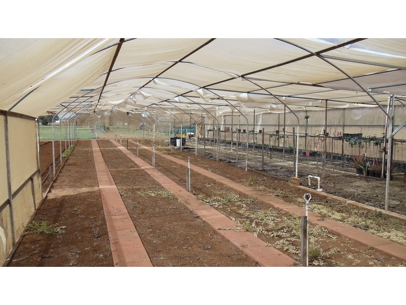 4462 Murray Valley Highway, Lake Boga VIC 3584