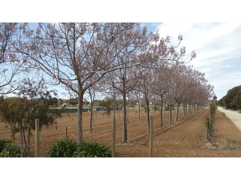 4462 Murray Valley Highway, Lake Boga VIC 3584