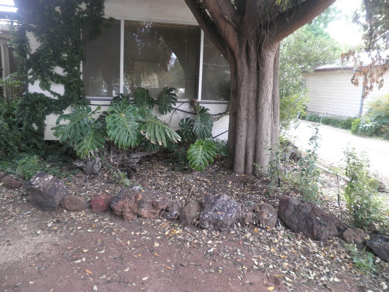 50 Naretha Street, Swan Hill VIC 3585