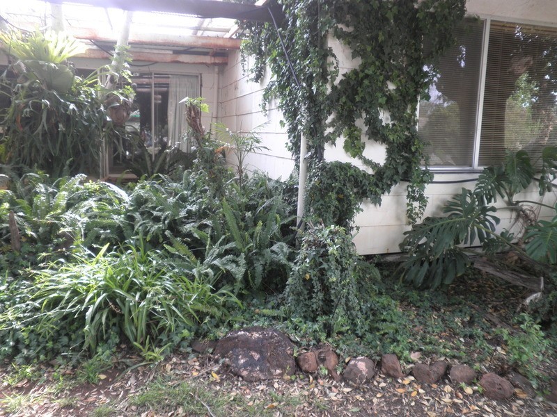 50 Naretha Street, Swan Hill VIC 3585