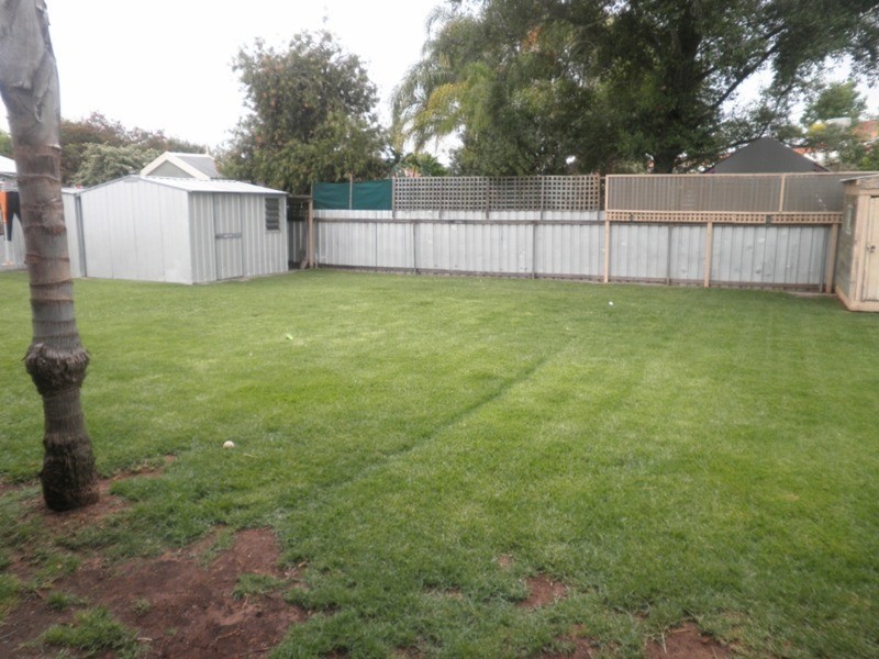 29 Wilkins Grove, Swan Hill VIC 3585