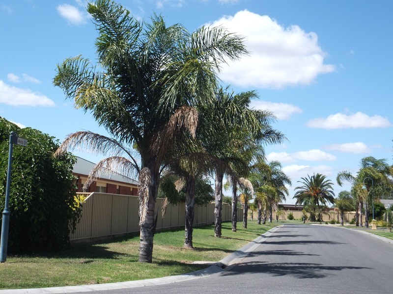 5/13 Melis Court, Swan Hill VIC 3585