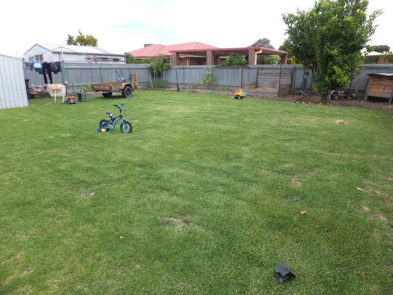 5 Lynden Street, Swan Hill VIC 3585