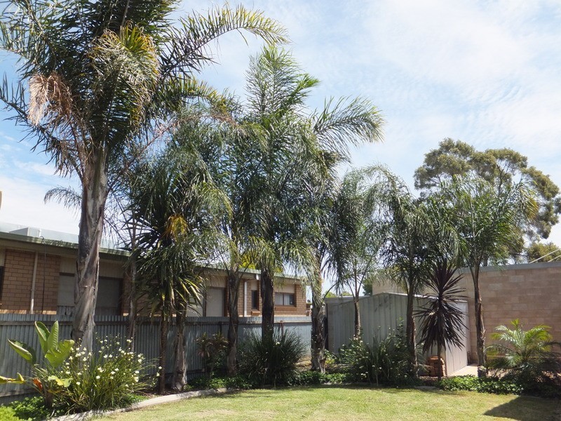 28 Douglas Avenue, Swan Hill VIC 3585