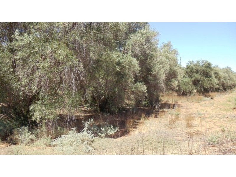 65 Nyah West  Road, Nyah West VIC 3595