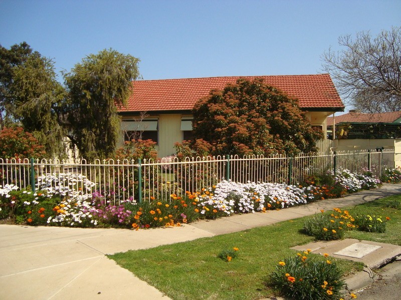 100 Murlong Street, Swan Hill VIC 3585