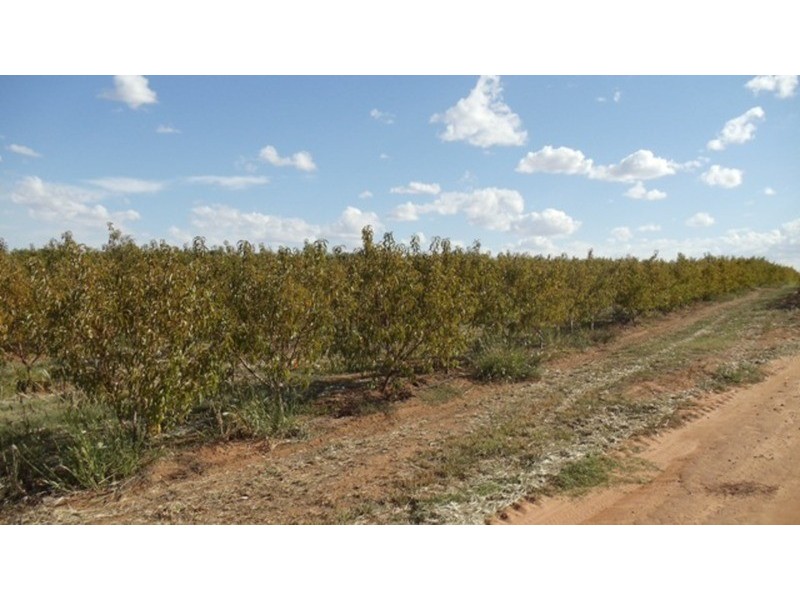 Lot 1 Murray Valley Highway, Wood Wood VIC 3596