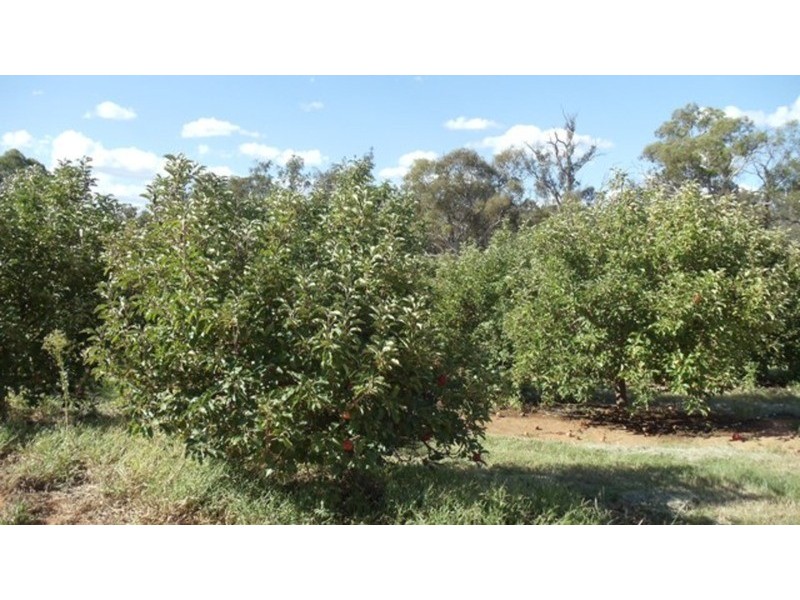 Lot 1 Murray Valley Highway, Wood Wood VIC 3596