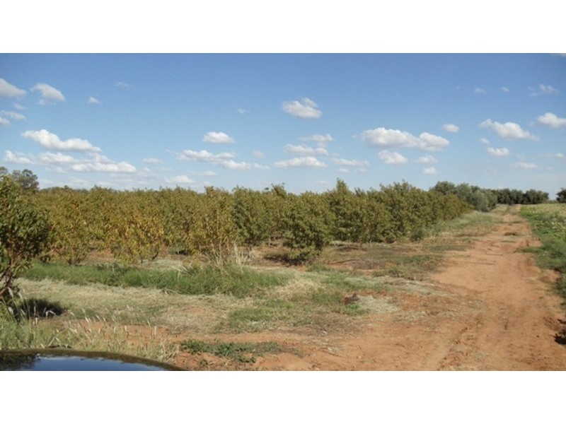 Lot 1 Murray Valley Highway, Wood Wood VIC 3596