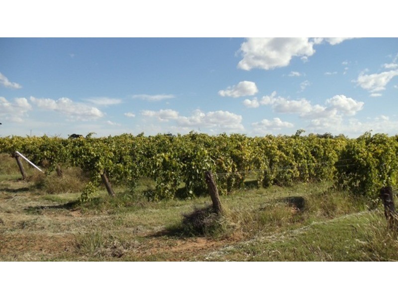 Lot 1 Murray Valley Highway, Wood Wood VIC 3596