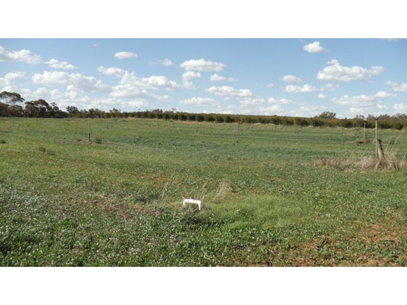 Lot 1 Murray Valley Highway, Wood Wood VIC 3596