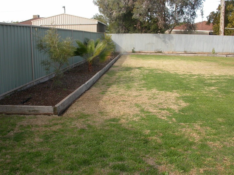131 Murlong Street, Swan Hill VIC 3585