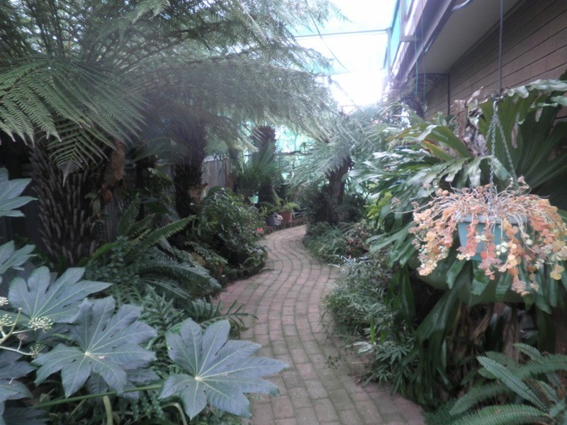 53 Marraboor Street, Lake Boga VIC 3584