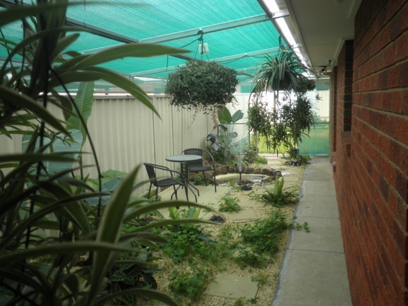 29 Dumosa Drive, Swan Hill VIC 3585